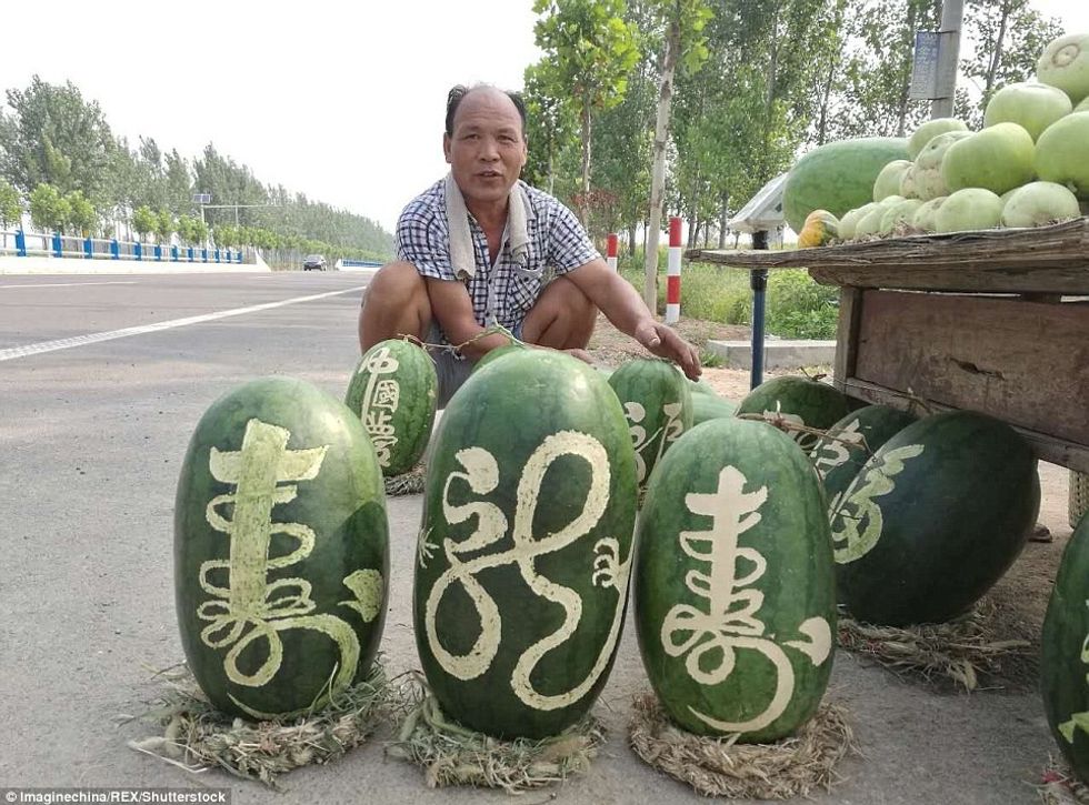 Shalqinjtë që nuk ia blinin i ktheu ne frute fati qe i shiti menjehere foto 5