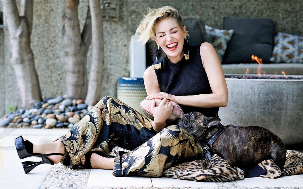 Sharon Stone Telegraph 1937 copy trans NvBQzQNjv4Bqe