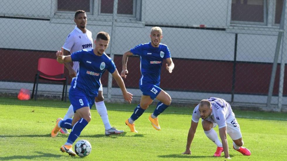 Shefiti Shefit Cropped