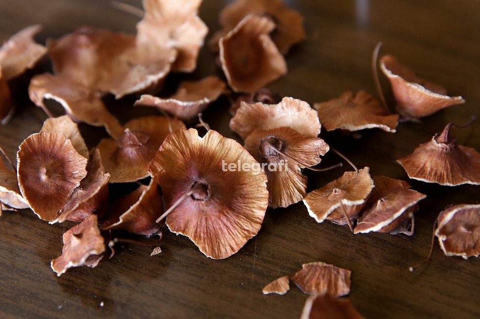 Shefqet Nura Mjek popullor foto Ridvan Slivova 14