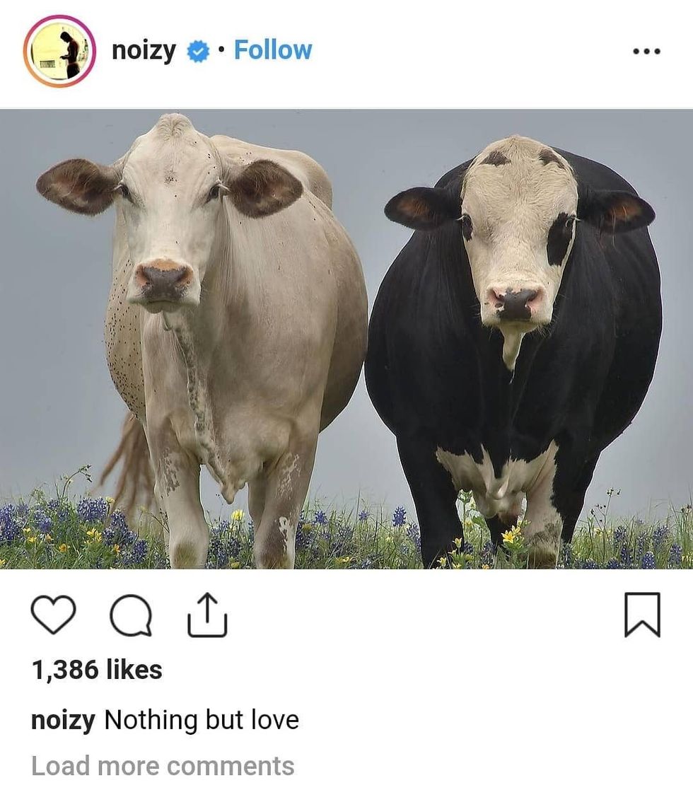 shimpi 1 e1539451851370