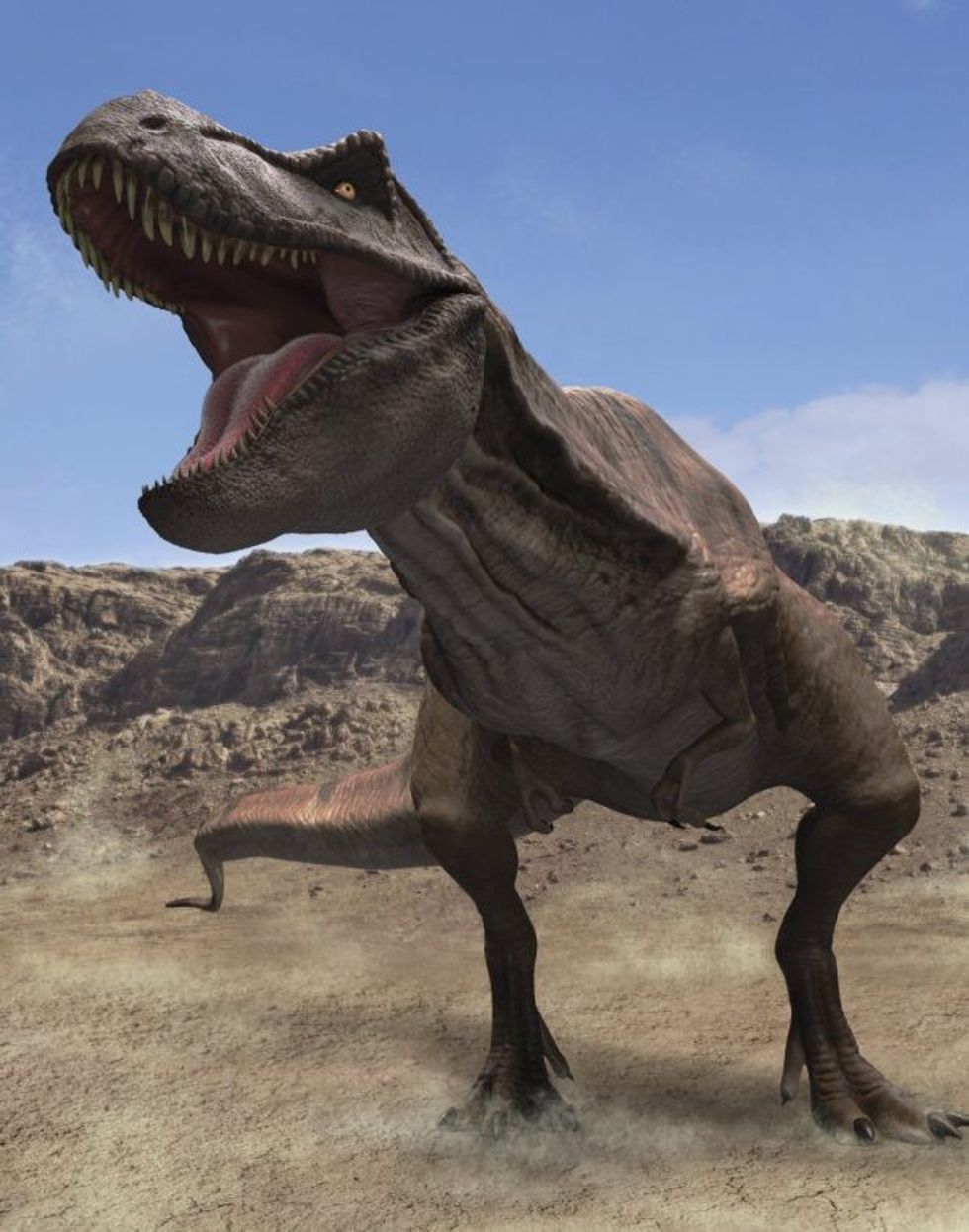 Shkencëtarët gjejnë se dinozauri T Rex ka qene shume i ndjeshem foto 3