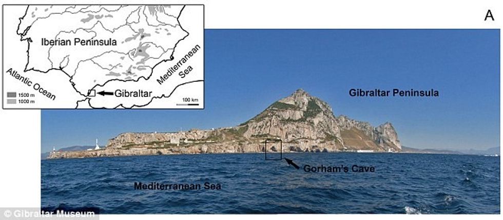 Shkencetaret zbulojne ushqimin e preferuar te njeriut te shpelles foto 3