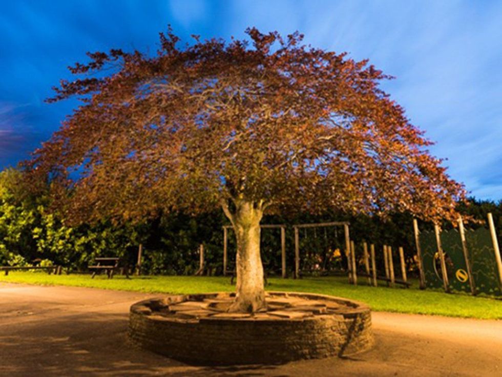 Shpallen katër fituesit e Pemës së Vitit 2016 foto 3