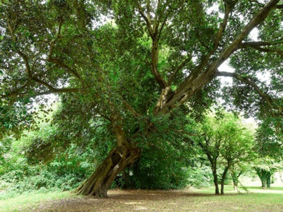 Shpallen katër fituesit e Pemës së Vitit 2016 foto 4