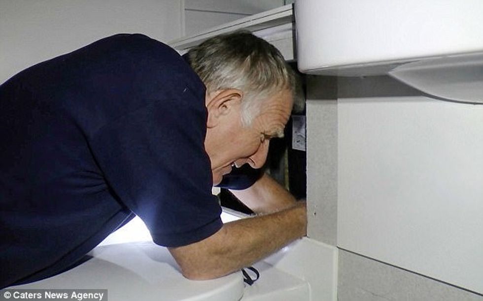 Shpëtohen të vegjlit e dhelprës që kishin ngecur në ngushticën mes dy mureve foto 2