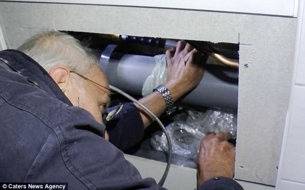 Shpëtohen të vegjlit e dhelprës që kishin ngecur në ngushticën mes dy mureve foto 4