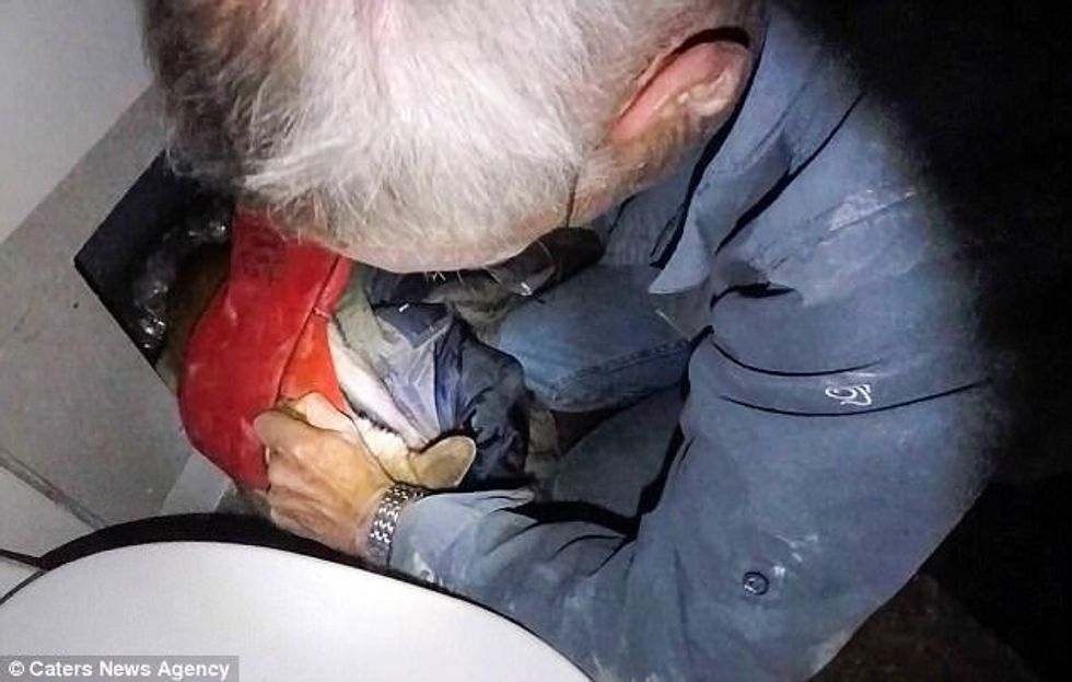 Shpëtohen të vegjlit e dhelprës që kishin ngecur në ngushticën mes dy mureve foto 6