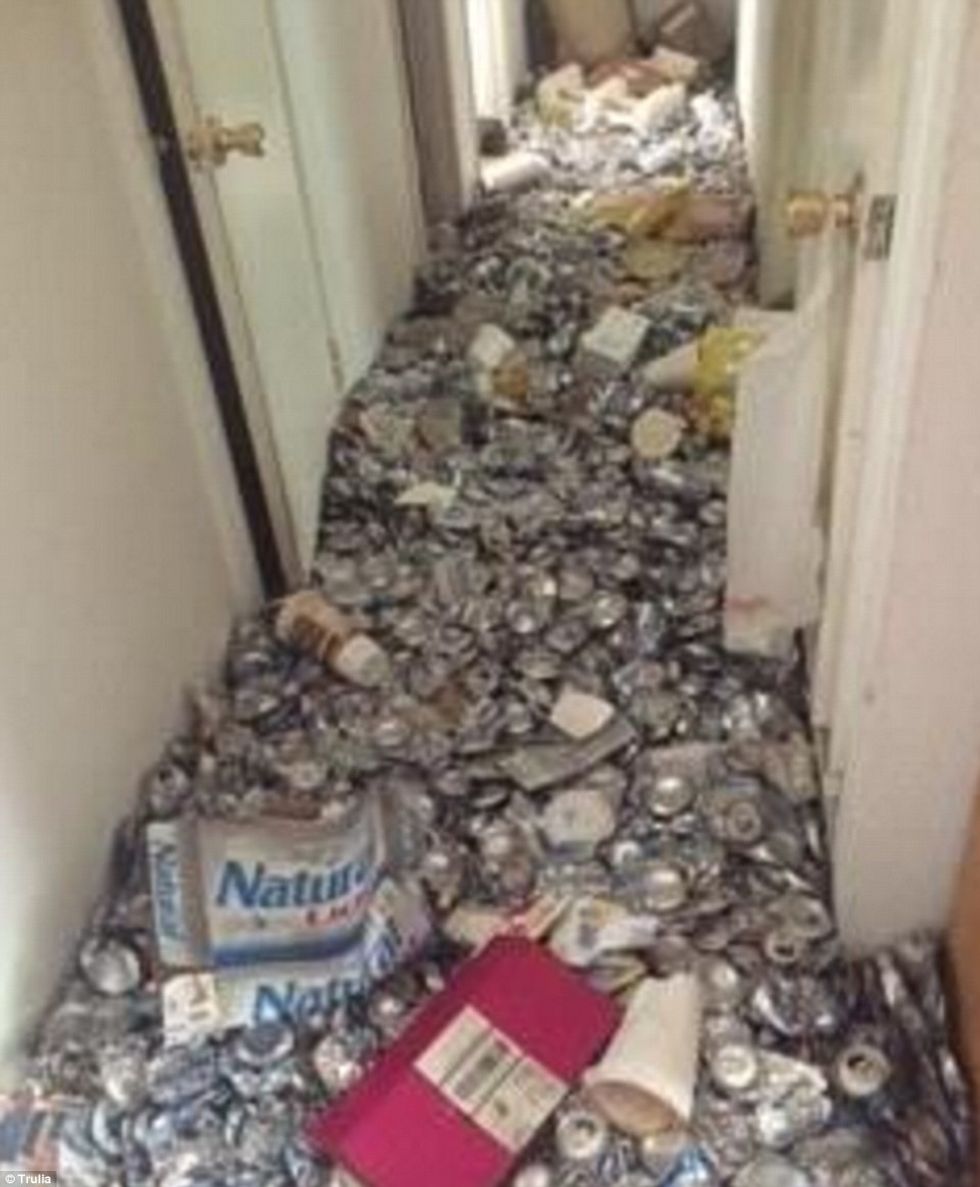 shtepia-qe-u-shikua-me-se-shumti-ne-ueb-faqen-e-patundshmerive-per-arsye-te-pazakonte-foto-3