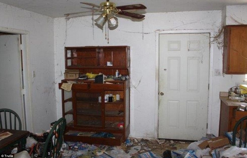 shtepia-qe-u-shikua-me-se-shumti-ne-ueb-faqen-e-patundshmerive-per-arsye-te-pazakonte-foto-5