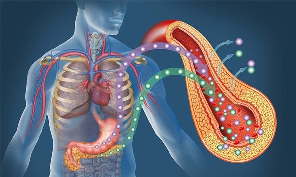 shutterstock 102680219