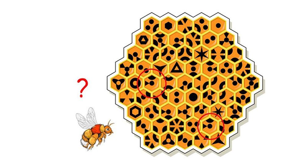 shutterstock 2 1577104798 1