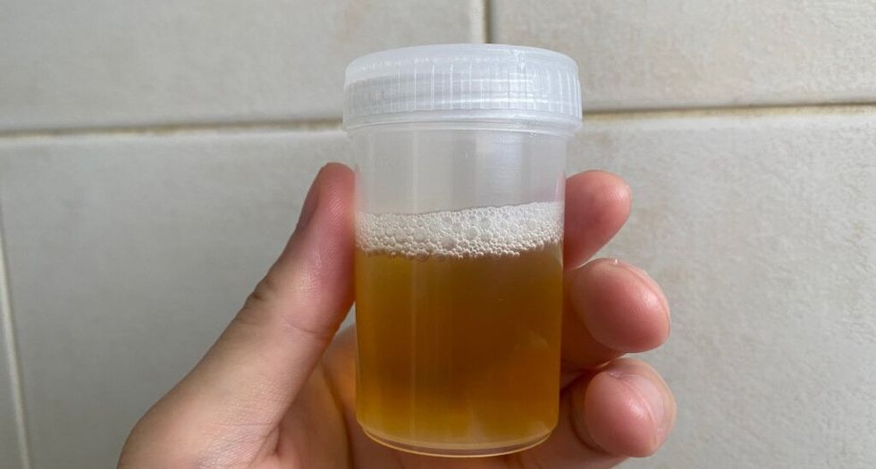 shutterstock 20415420201 1024 edited