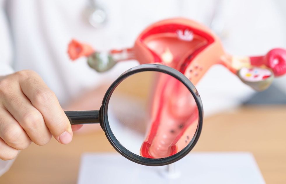 shutterstock 2314468321 crop 1