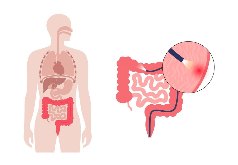 shutterstock 2363997853 1600px