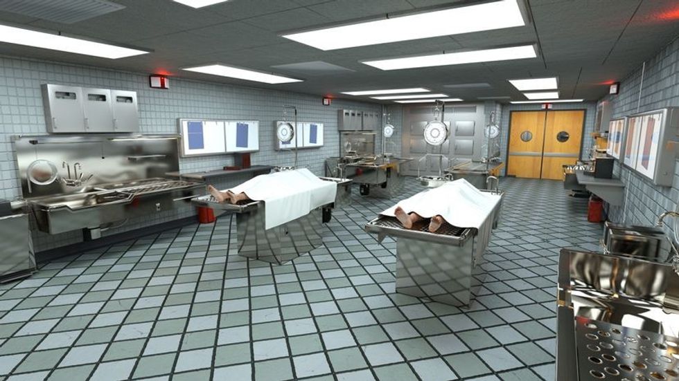 shutterstock400913815 1