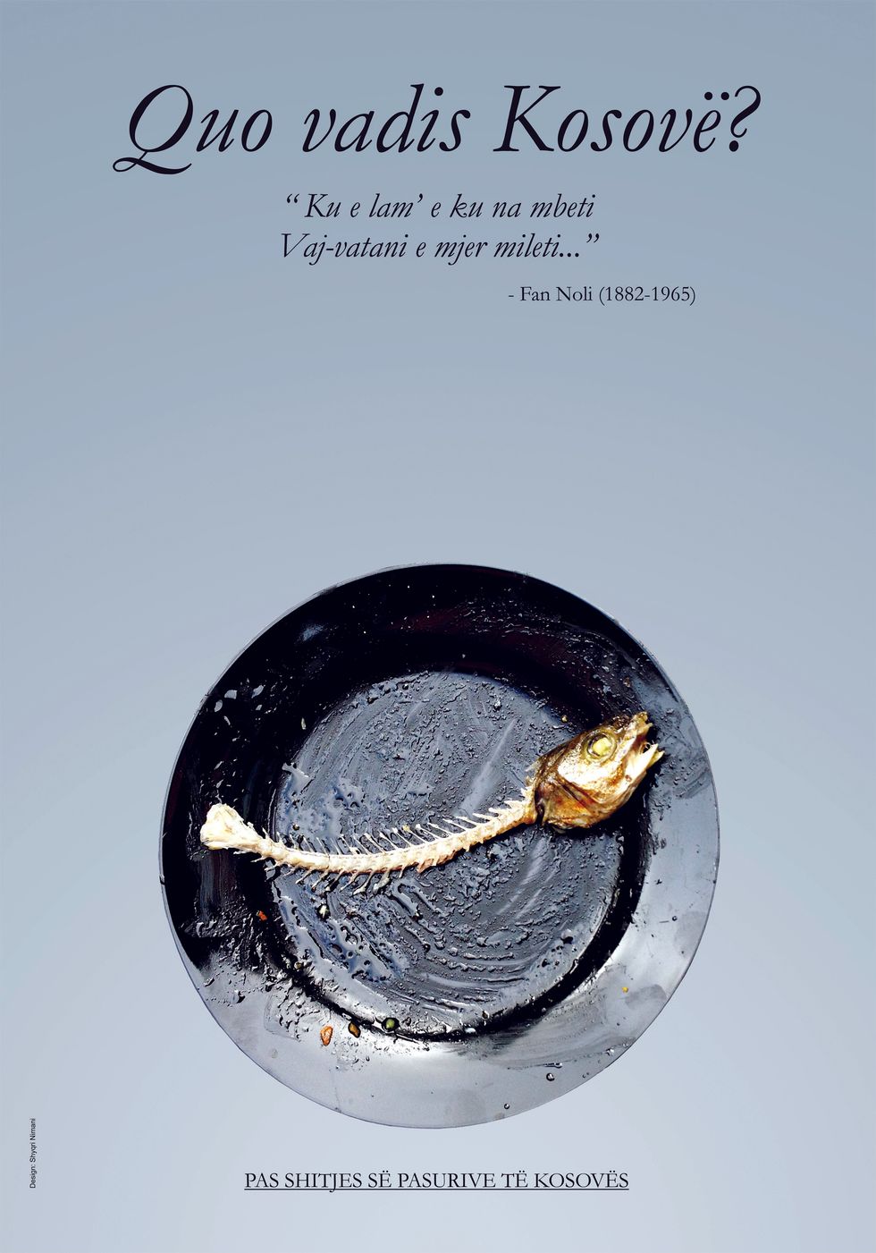 Shyqri Nimani quo vadis kosove poster 2013