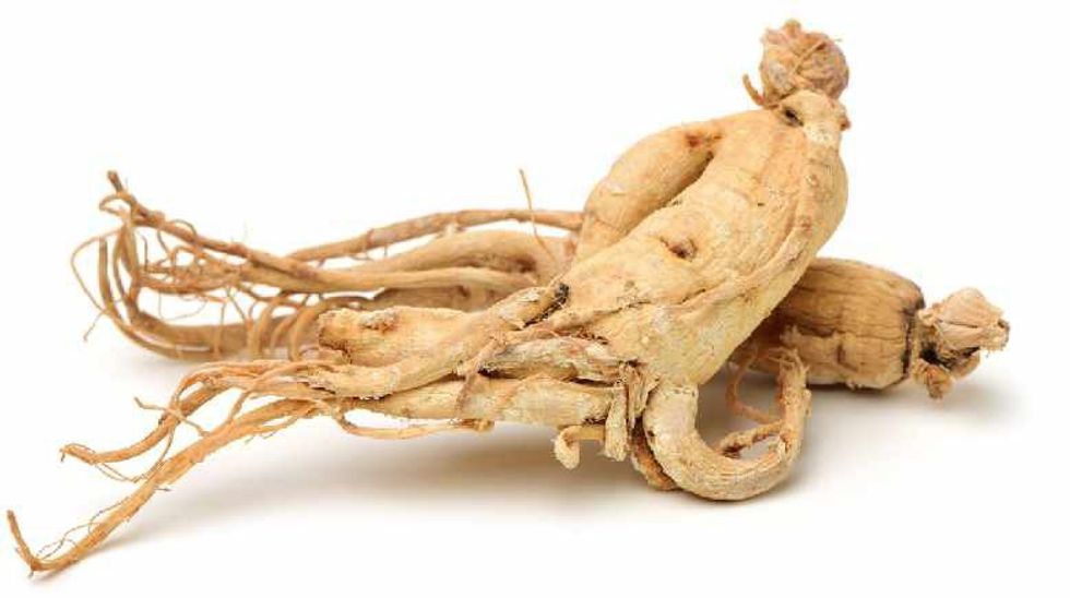 siberian ginseng benefits