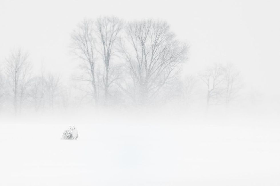 Siena Photo Awards 00LL