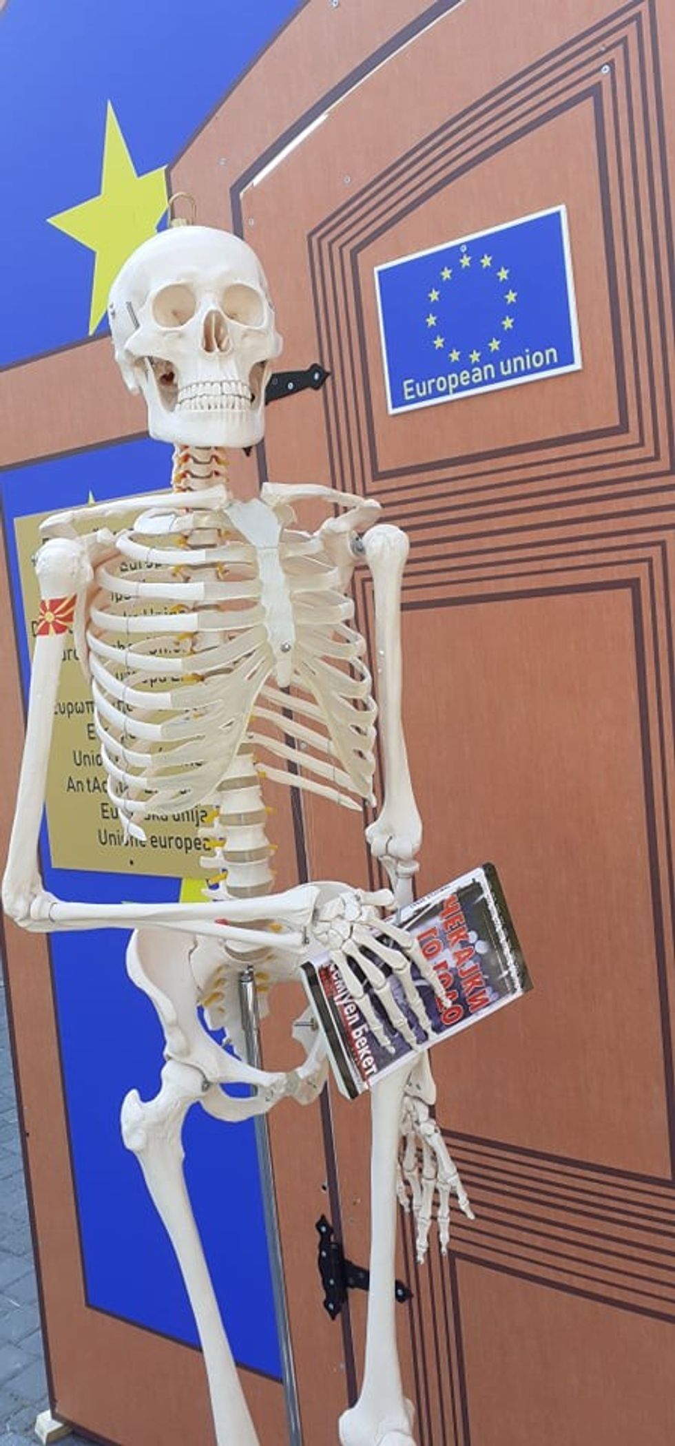 skeleti 1