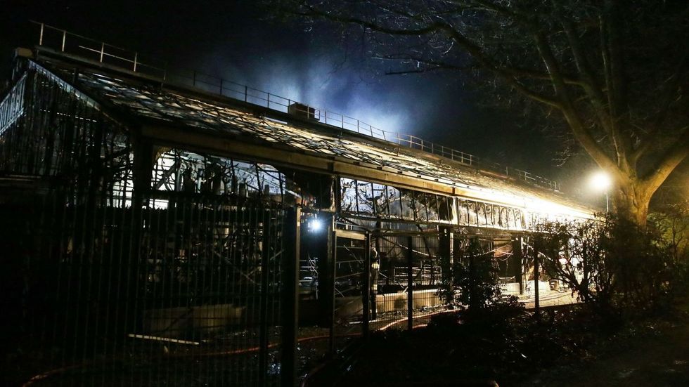 skynews germany zoo fire 4880484