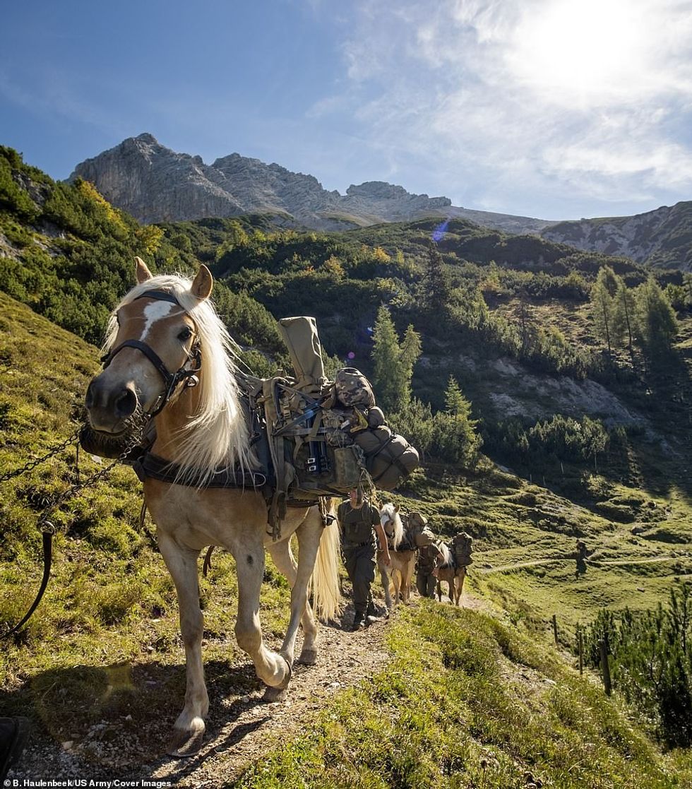 Snajperistet e NATO se 10