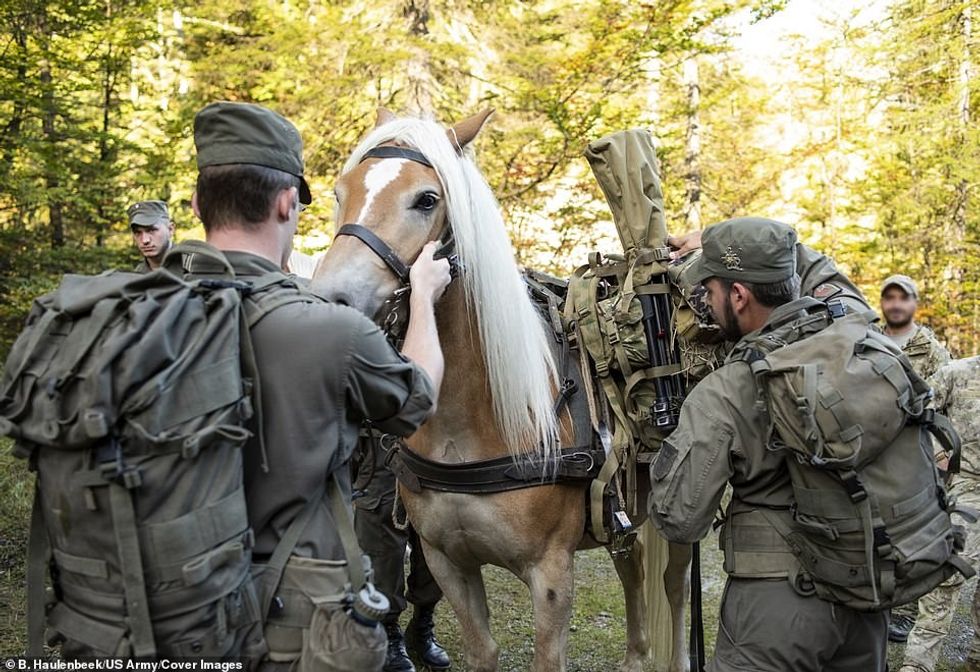 Snajperistet e NATO se 4