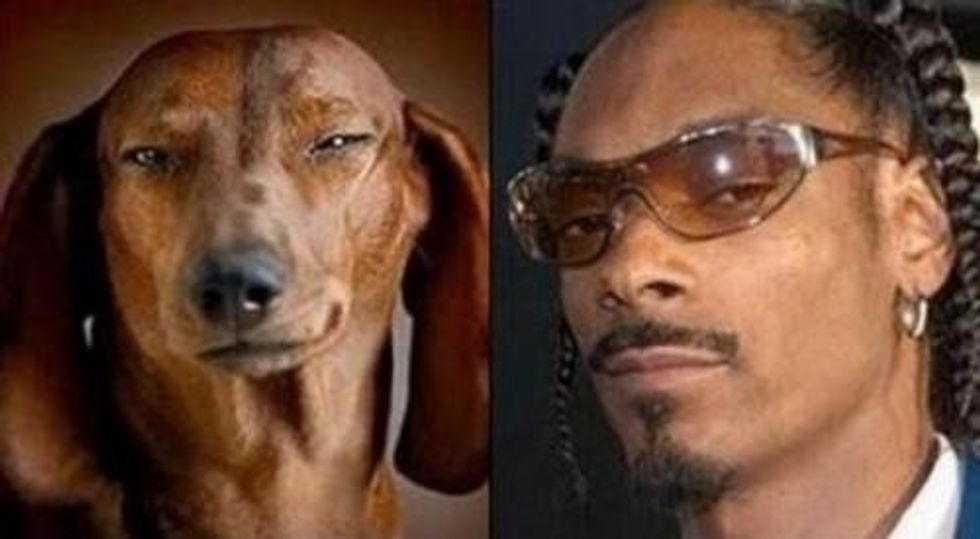 SnoopDogg