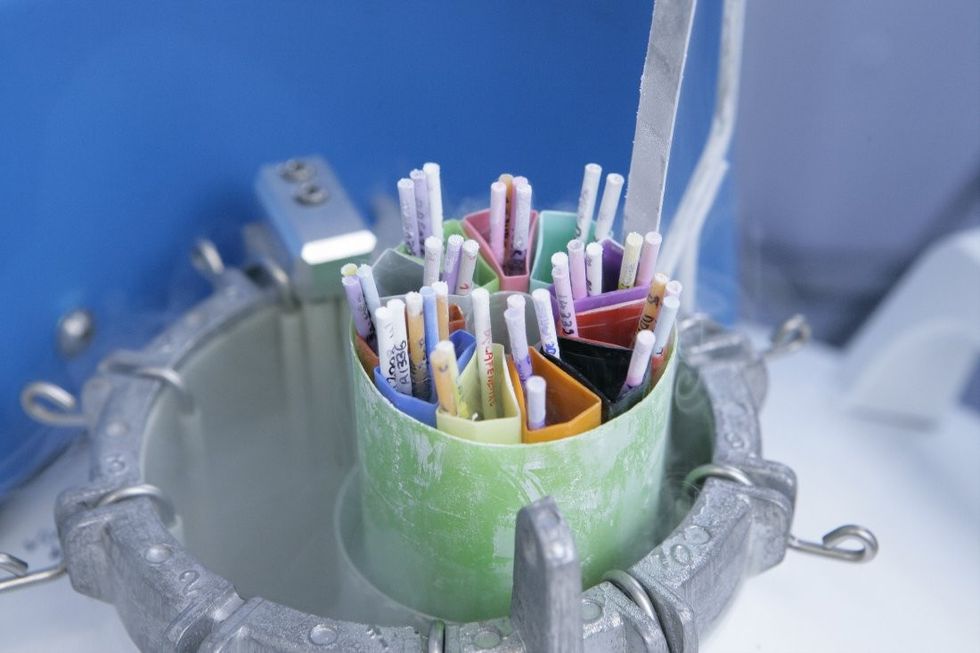 Sperm Bank, Frozen Specimens