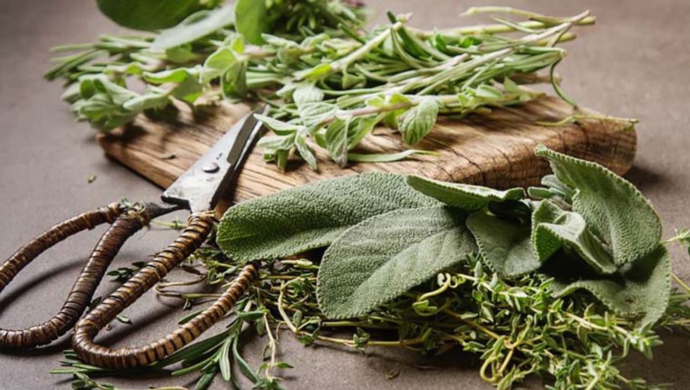 spices and herbs health benefits features