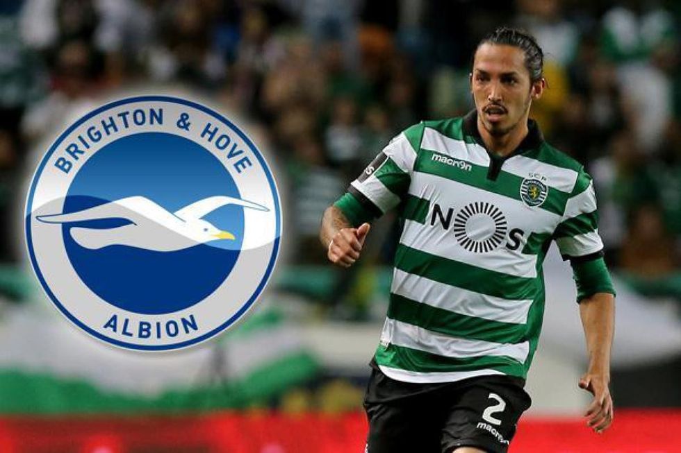 sport preview schelotto brighton