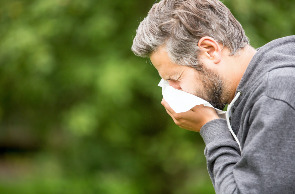 spring allergies pollen sneezing