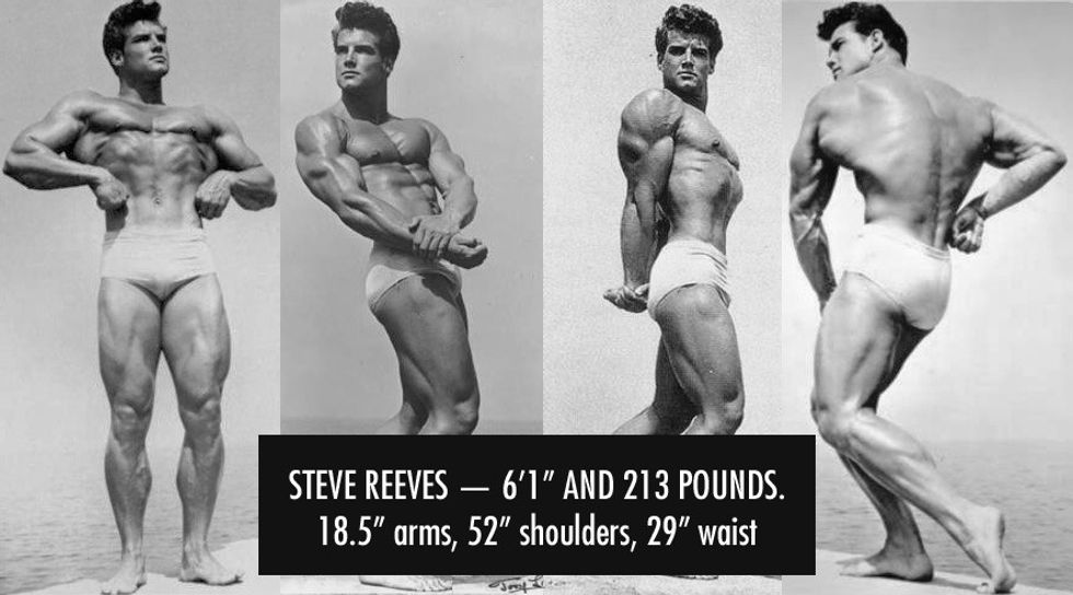 steeveeal male bodybuilders body1