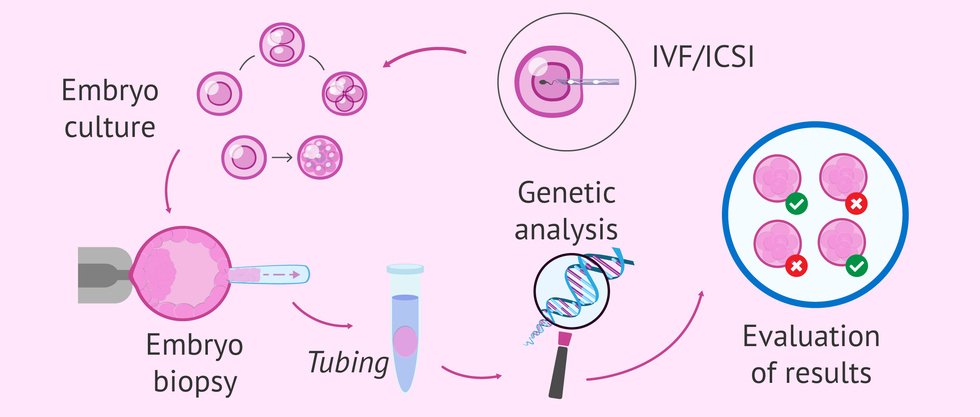 steps of genetic embryo testing