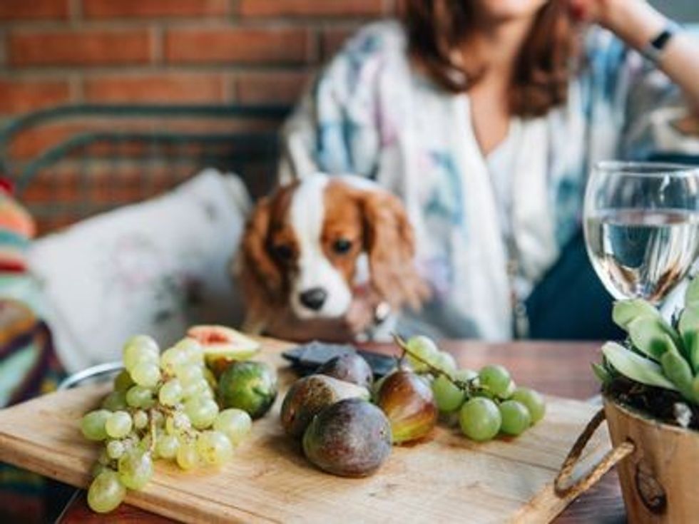 Stocksy txp0bd89fe2Qj9100 Medium 422720 57daab803df78c9ccea9d559