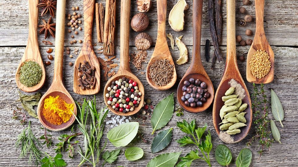 stocksy txpee3a3e91szt100 medium 1724418