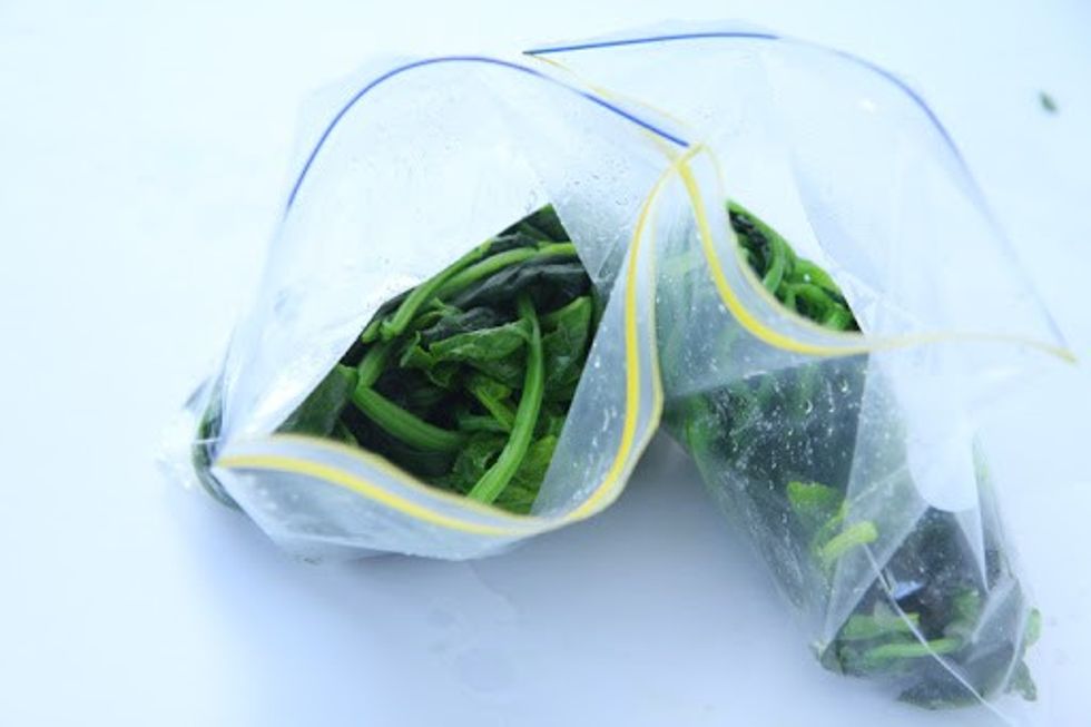 Store Cilantro Step 30