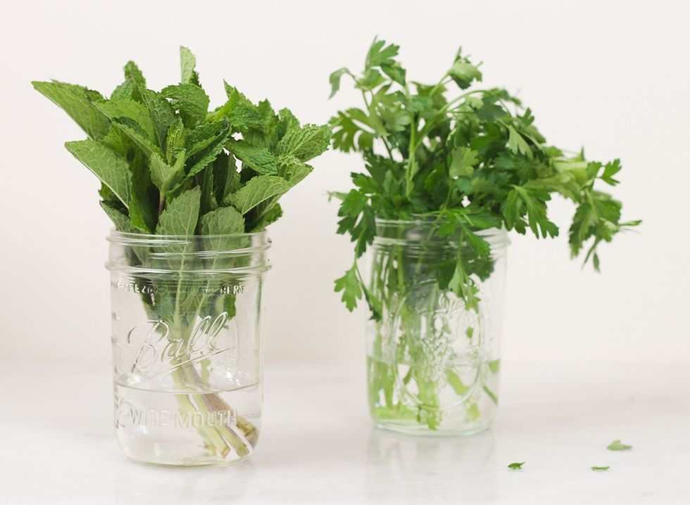 storing herbs how to 2 1