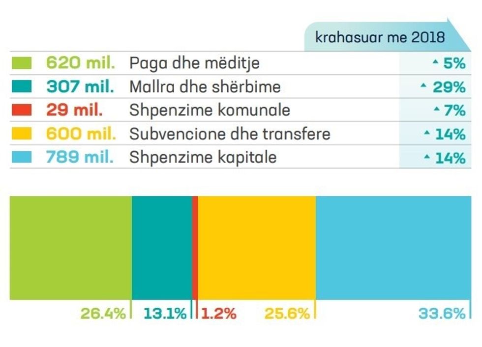 struktura financimi 2019 2018