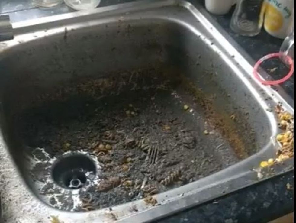 Studenti gjeti edhe jashtëqitje në lavamanin e kuzhinës foto 2