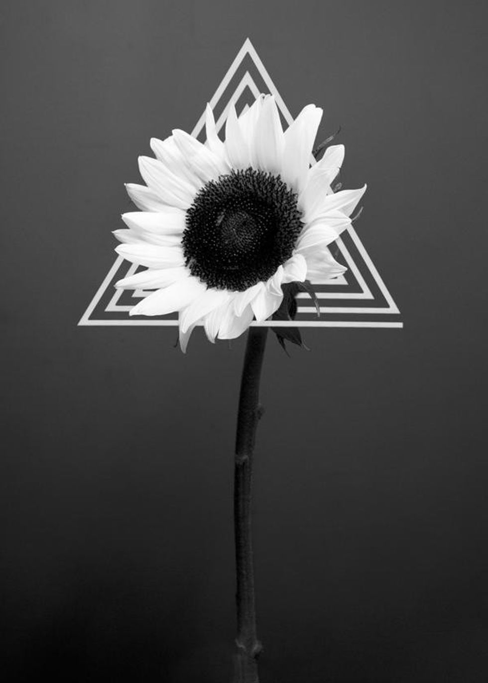 suicide summer by aliceferox ddcl218 fullview