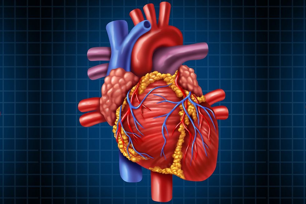 SUN conditions of the heart 1