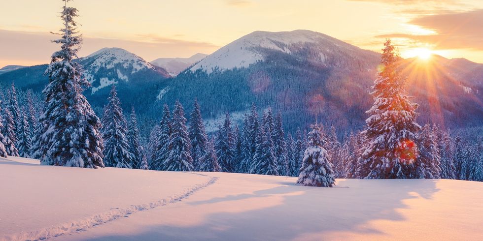 sun rising over mountains covered in pine trees