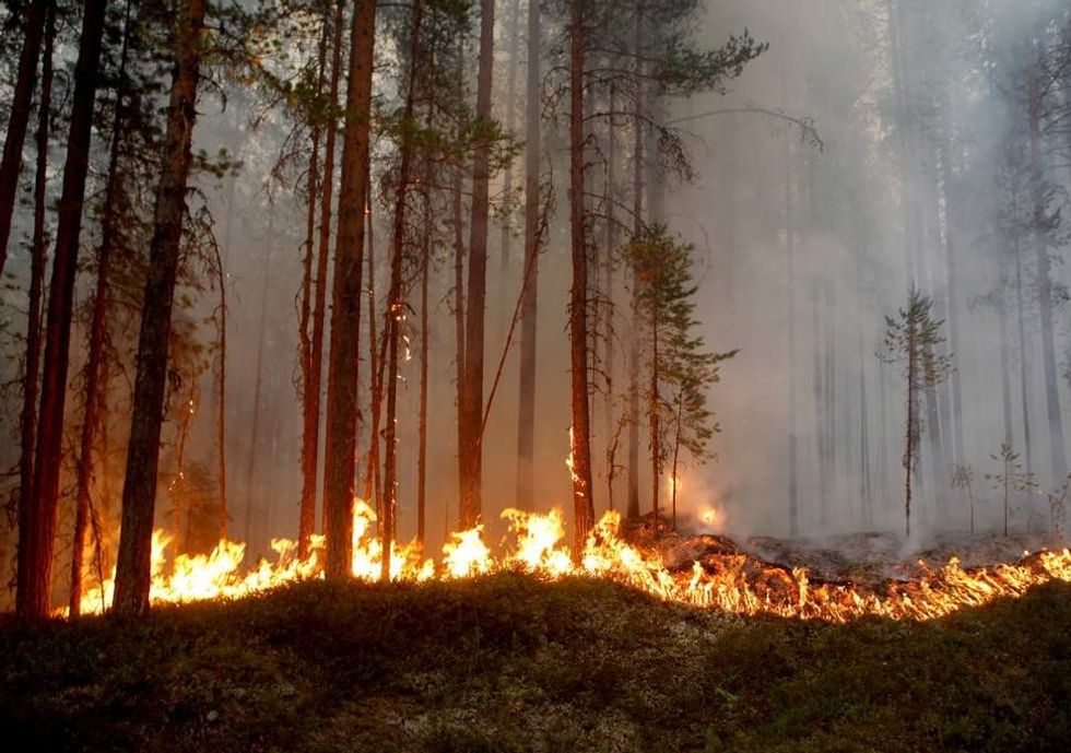 sweden wildfire