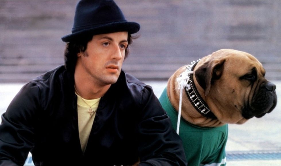 Sylvester Stallone dog 31uu8wmiv0ftgeu2vsrfnk