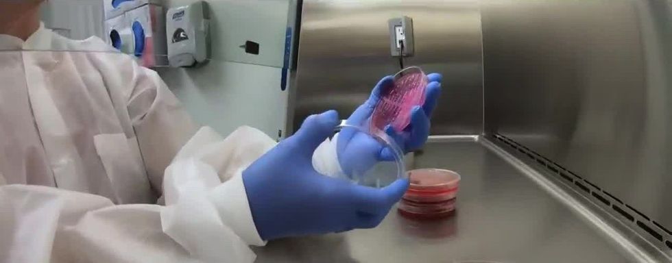 t d88db139750a4b9bae9e2f929a56e467 name file 2000 v3 1