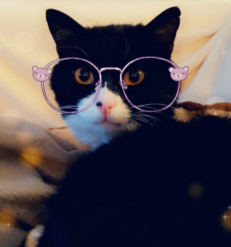 t.rexie .roo 92267644 278083089875104 7746616034684526134 n