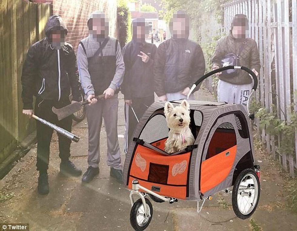 Tallje me adoleshentët që u paraqitën si të rrezikshëm foto 3