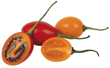 Tamarillo
