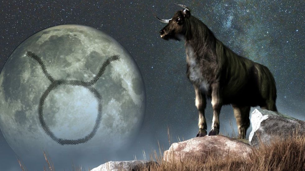 taurus 1640520436666 1652095043461